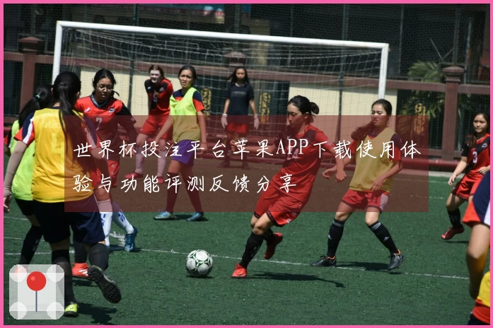 世界杯投注平台苹果APP下载使用体验与功能评测反馈分享