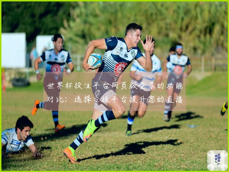 世界杯投注平台网页版登录的功能对比：选择合适平台提升您的直播体验
