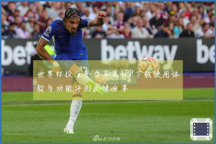 世界杯投注平台苹果APP下载使用体验与功能评测反馈分享
